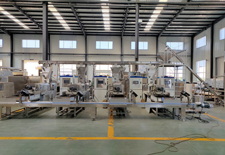 India FRK Production Line Client Case